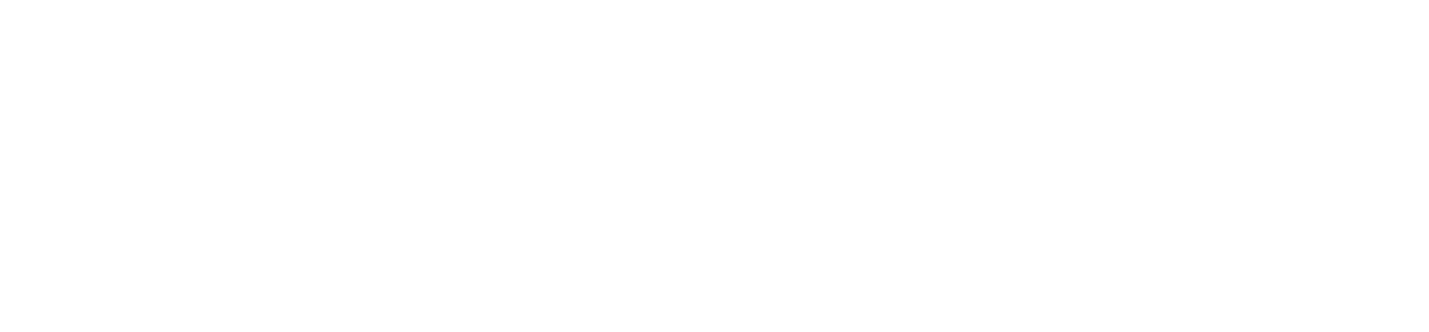 Flazio